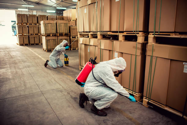 Best Best Pest Control Near Me  in Harvey, ND