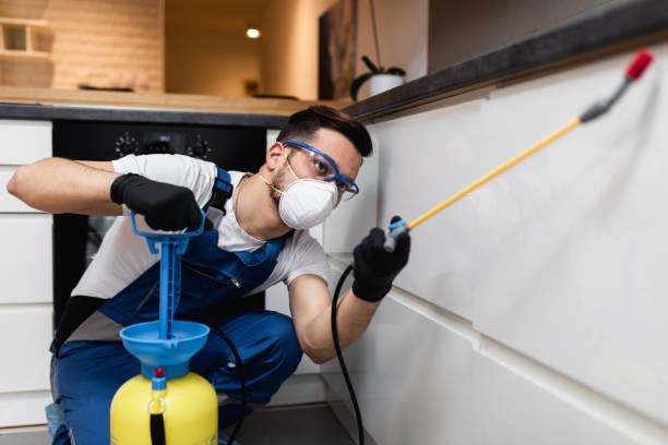 Best Local Pest Control Services  in Harvey, ND