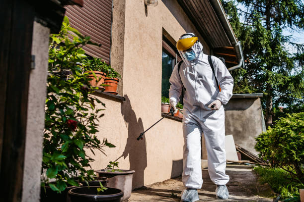  Harvey, ND Pest Control Pros