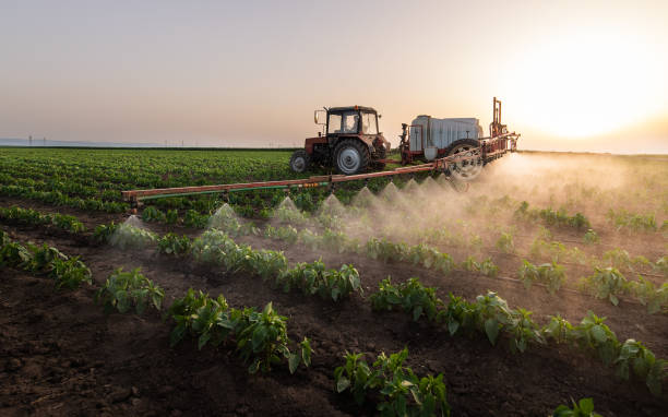 Best Pest Control Near Me  in Harvey, ND