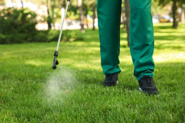 Best Commercial Pest Control Services  in Harvey, ND