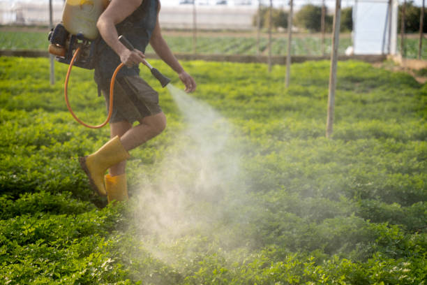 Best Pest Control for Businesses  in Harvey, ND