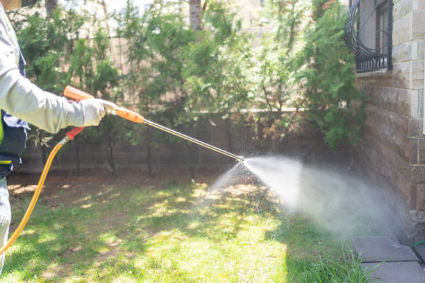 Best Exterminator Services  in Harvey, ND