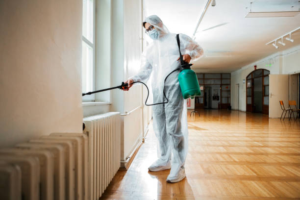 Best Pest Removal Services  in Harvey, ND