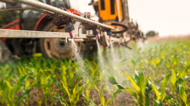 Best Ant Control Services  in Harvey, ND