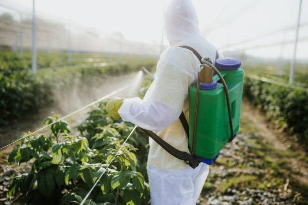 Best Termite Control Services  in Harvey, ND